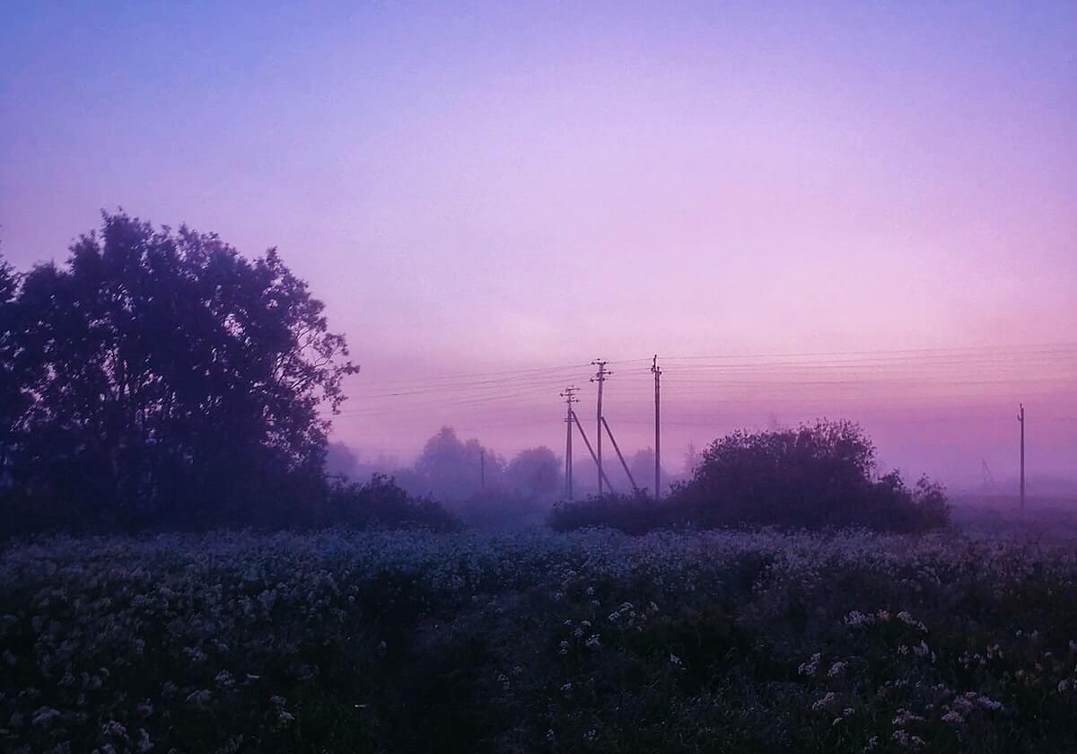 乐鱼体育官方网站：开启全新体育娱乐体验的入口